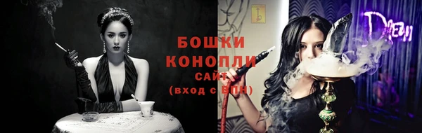 эйфоретик Вяземский