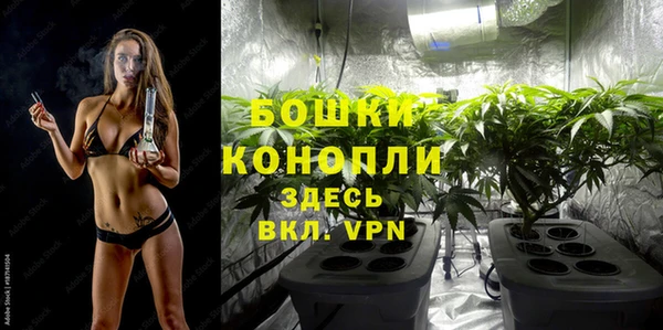эйфоретик Вяземский