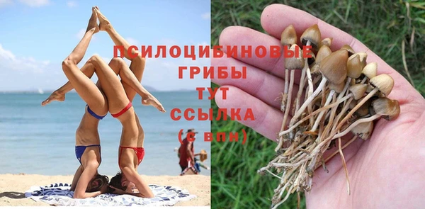 эйфоретик Вяземский