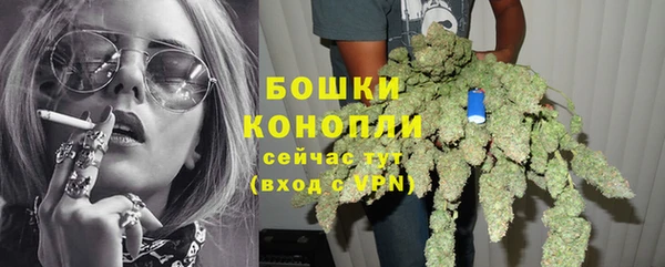 эйфоретик Вяземский