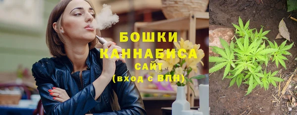эйфоретик Вяземский