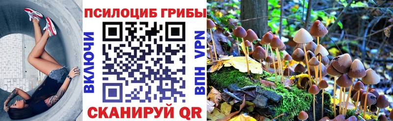 купить hydra маркетплейс Галлюциногенные грибы MAGIC MUSHROOMS Гаврилов-Ям